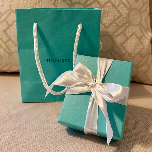 *BRAND NEW* Tiffany HardWear Small Link Bracelet in Sterling Silver - Picture 2 of 7